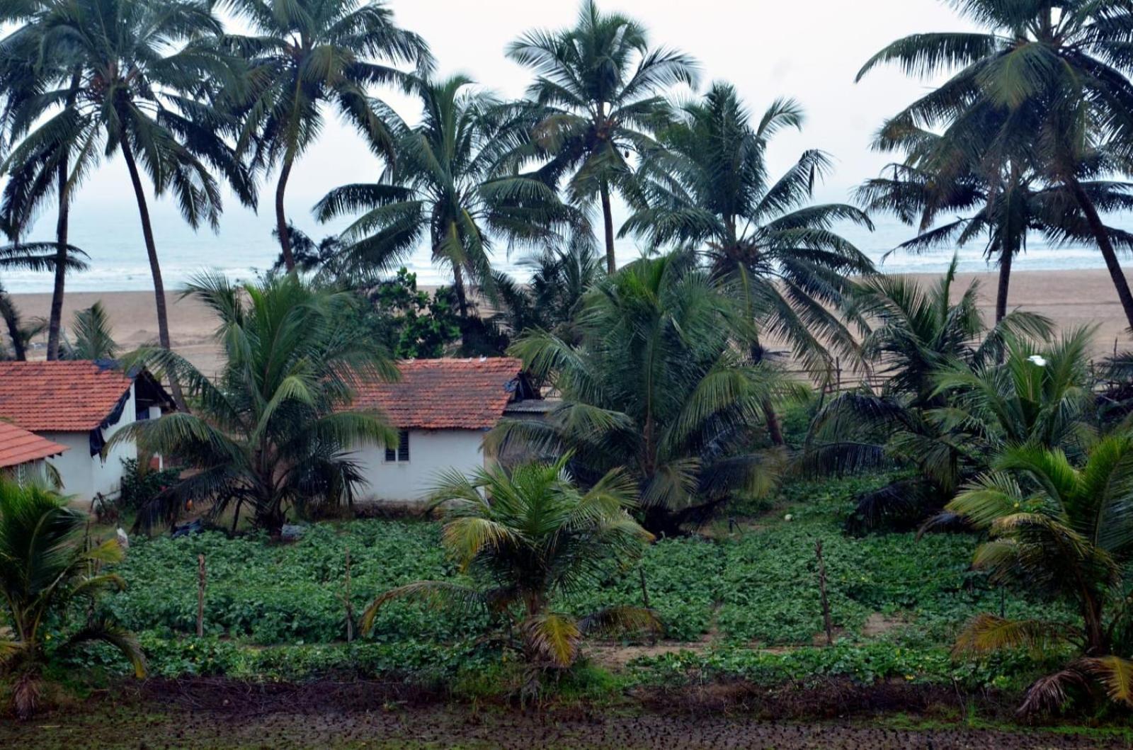 Kenchas Beach Resort Gokarna  Buitenkant foto